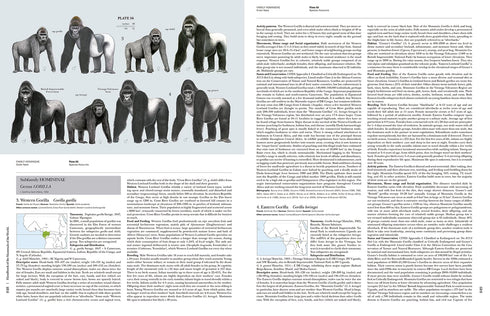 Handbook of the Mammals of the World no 3, Primates - Lynx 2013